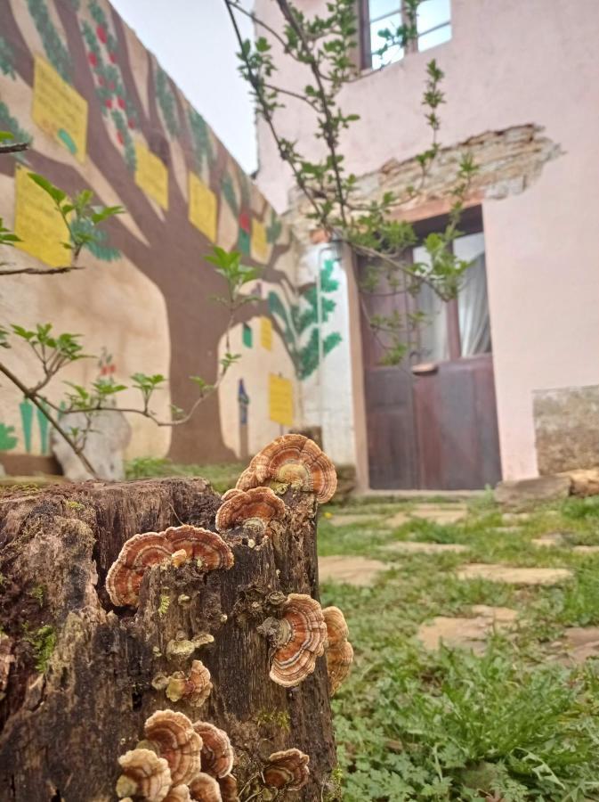 Albergue Eco El Beso - Vegano Triacastela Ngoại thất bức ảnh